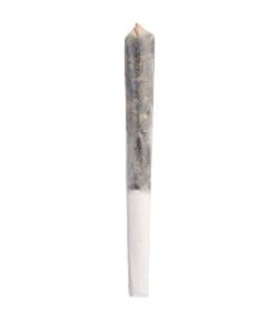 Frosted Caramel Pancakes Infused Pre-Roll - 1x0.5g