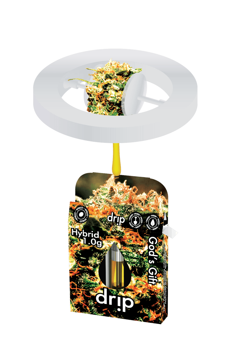 Drip - God's Gift 1g Cartridge