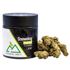 Product Snowdog | Flower | 3.5g