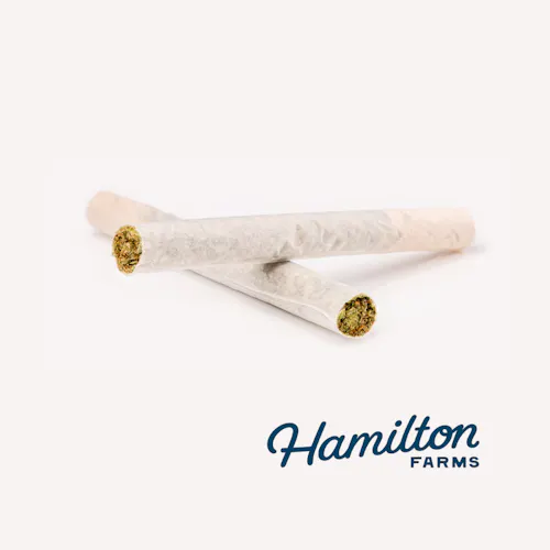 Hamilton Farms | Kiwi Kandy | Pre-Roll Pack | 2pk – 1g-active
