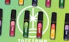 2/$30 TreeTown Vapes 