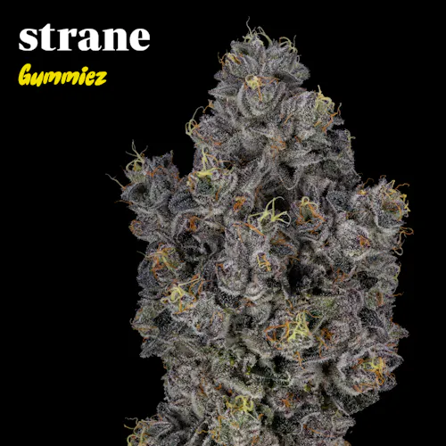 Strane | Government Oasis Pre-Packaged | 3.5g-1