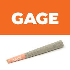 Product: Gage | Pre-Roll - 1g - El Lechero