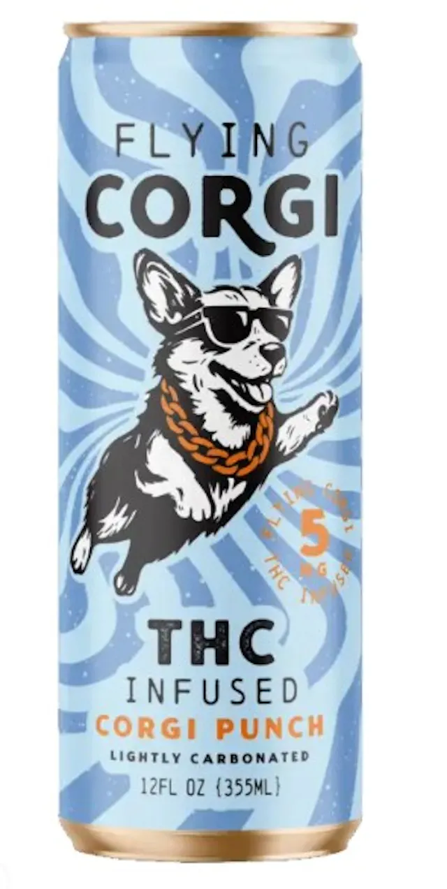 Flying Corgi Seltzer Corgi Punch 12oz/5mg (hybrid, drinks, 0.28g)