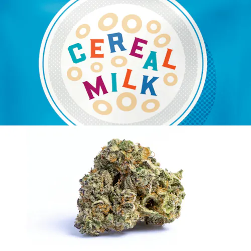 Cookies – Cereal Milk – Indoor – Flower Tub-1
