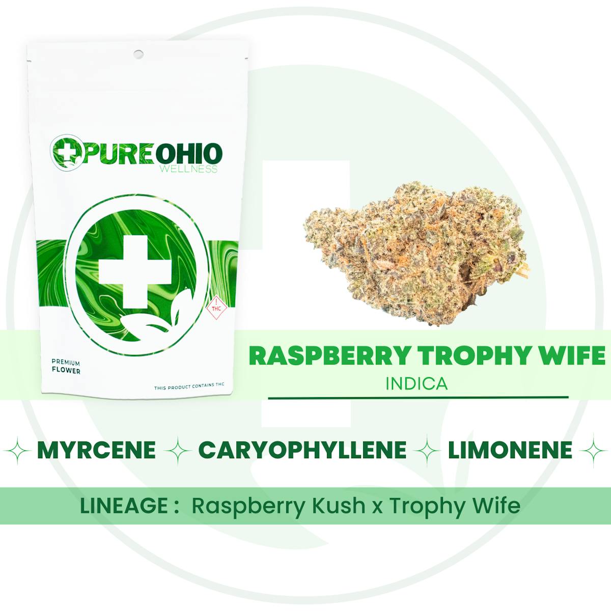 Photo of Raspberry Trophy Wife Small Buds