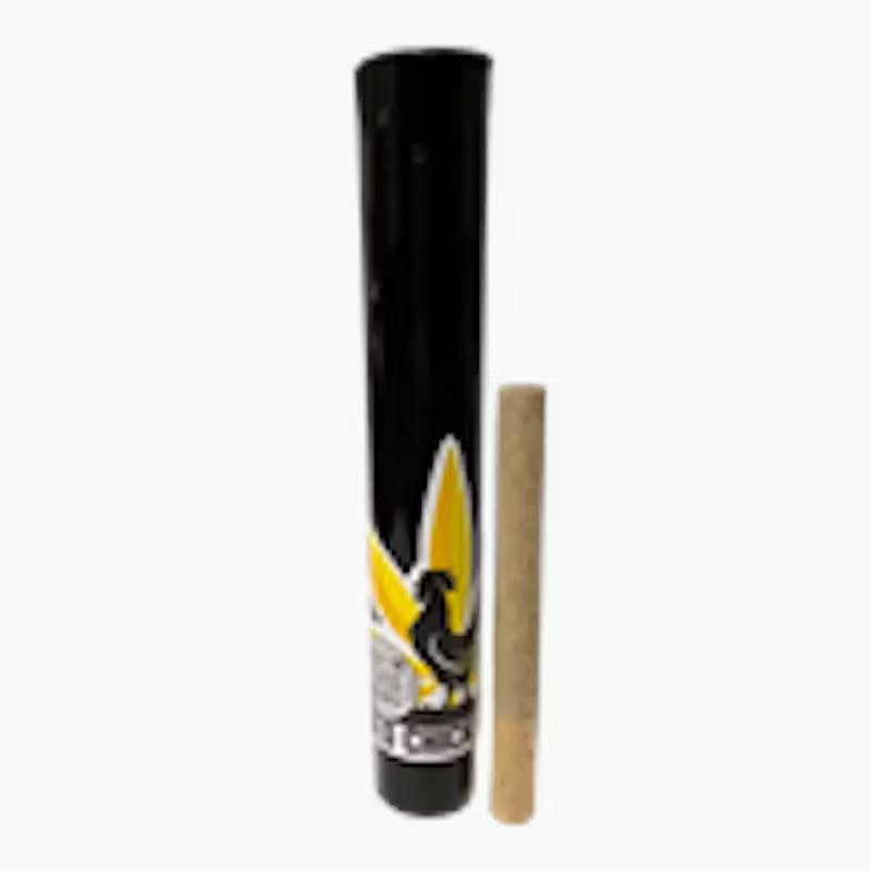 Baked Chicken Preroll Doobie | Ghost Train Haze