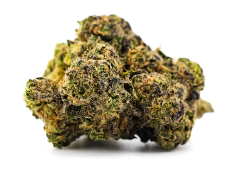 DANK | Space Jam | Indoor Grown Flower | 3.5g-3