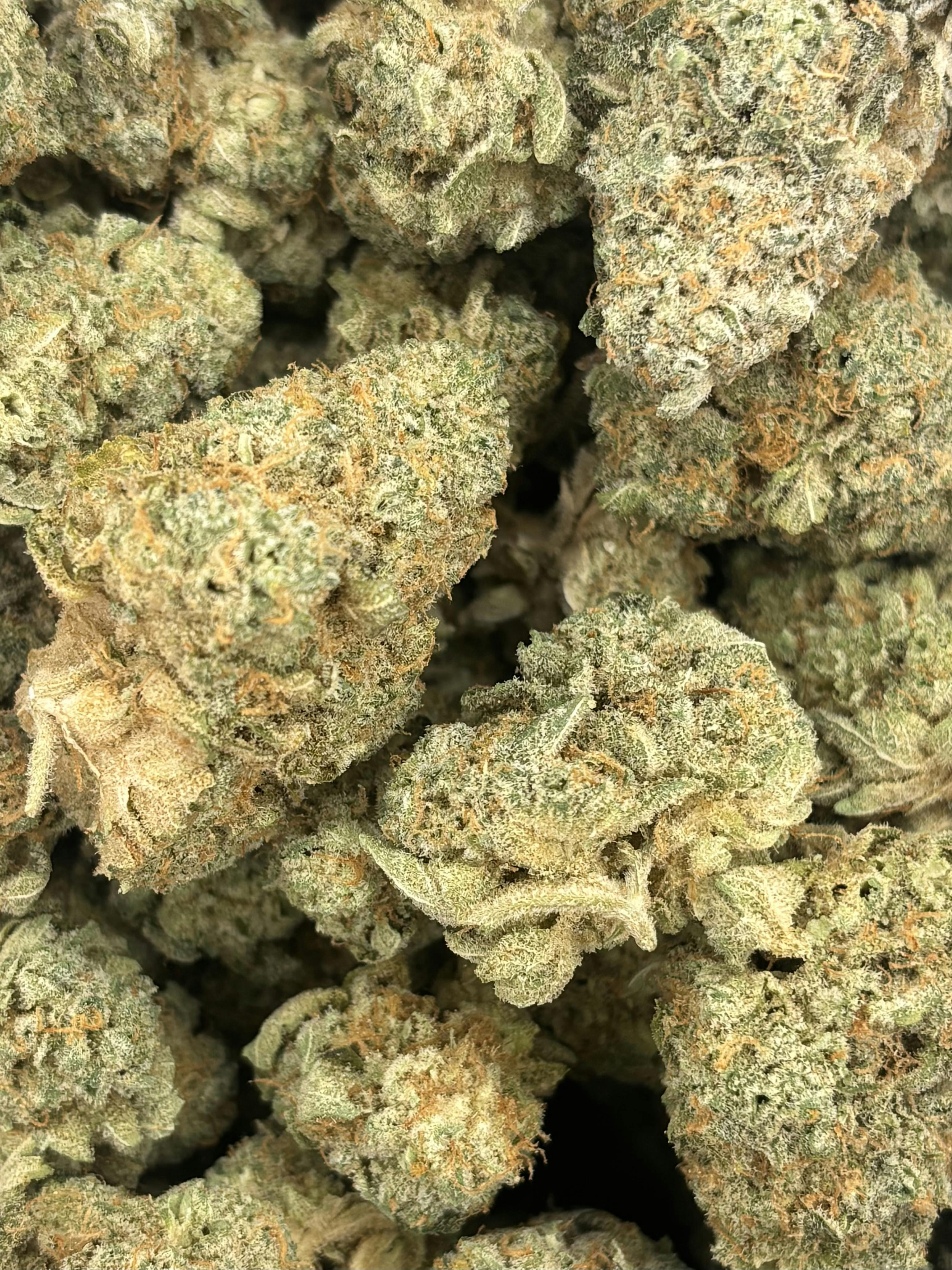 Pro Gro | Dark Rainbow | Deli Flower