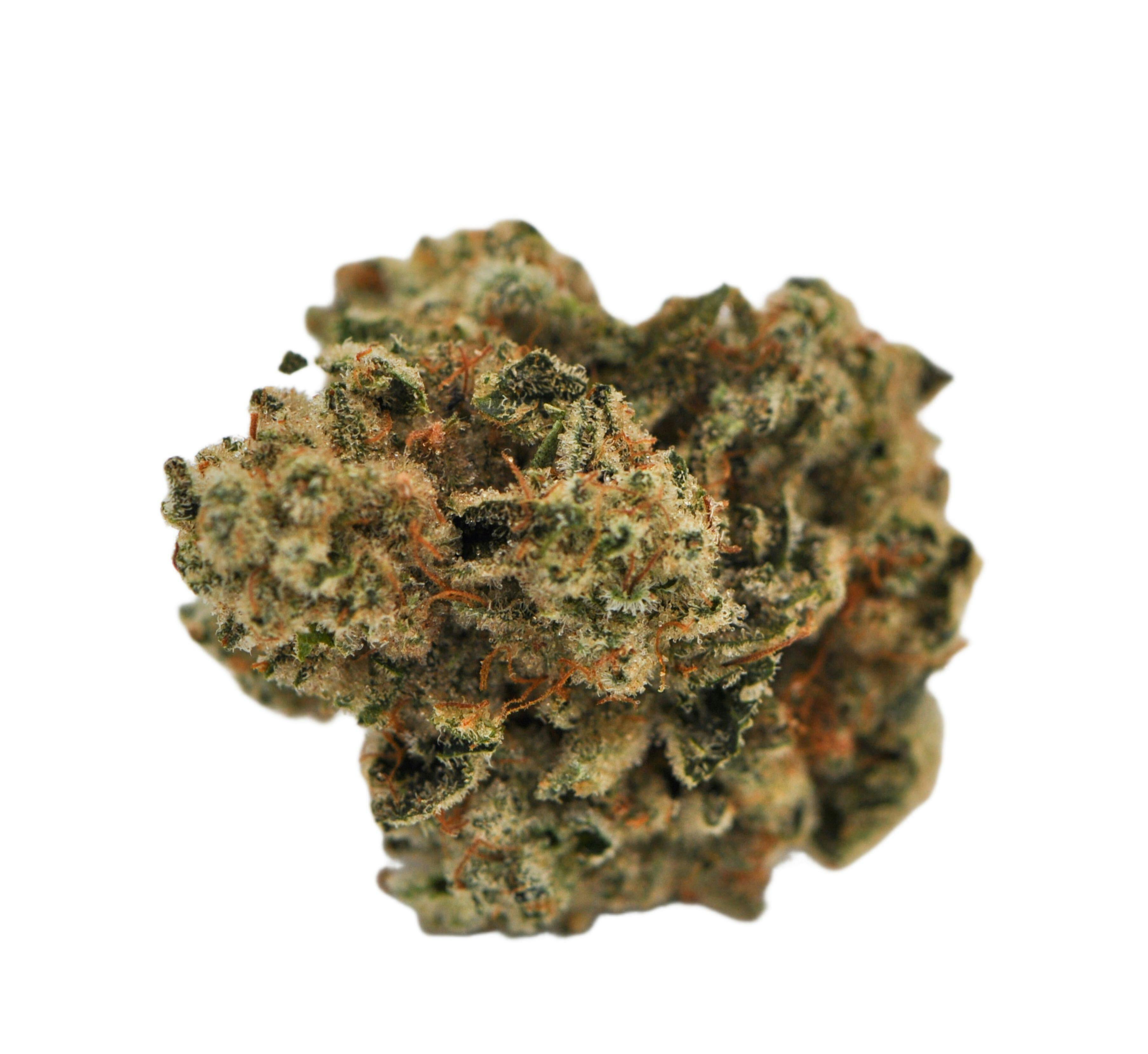image of Gorilla Glue #4 | 3.5g Prepackaged Flower