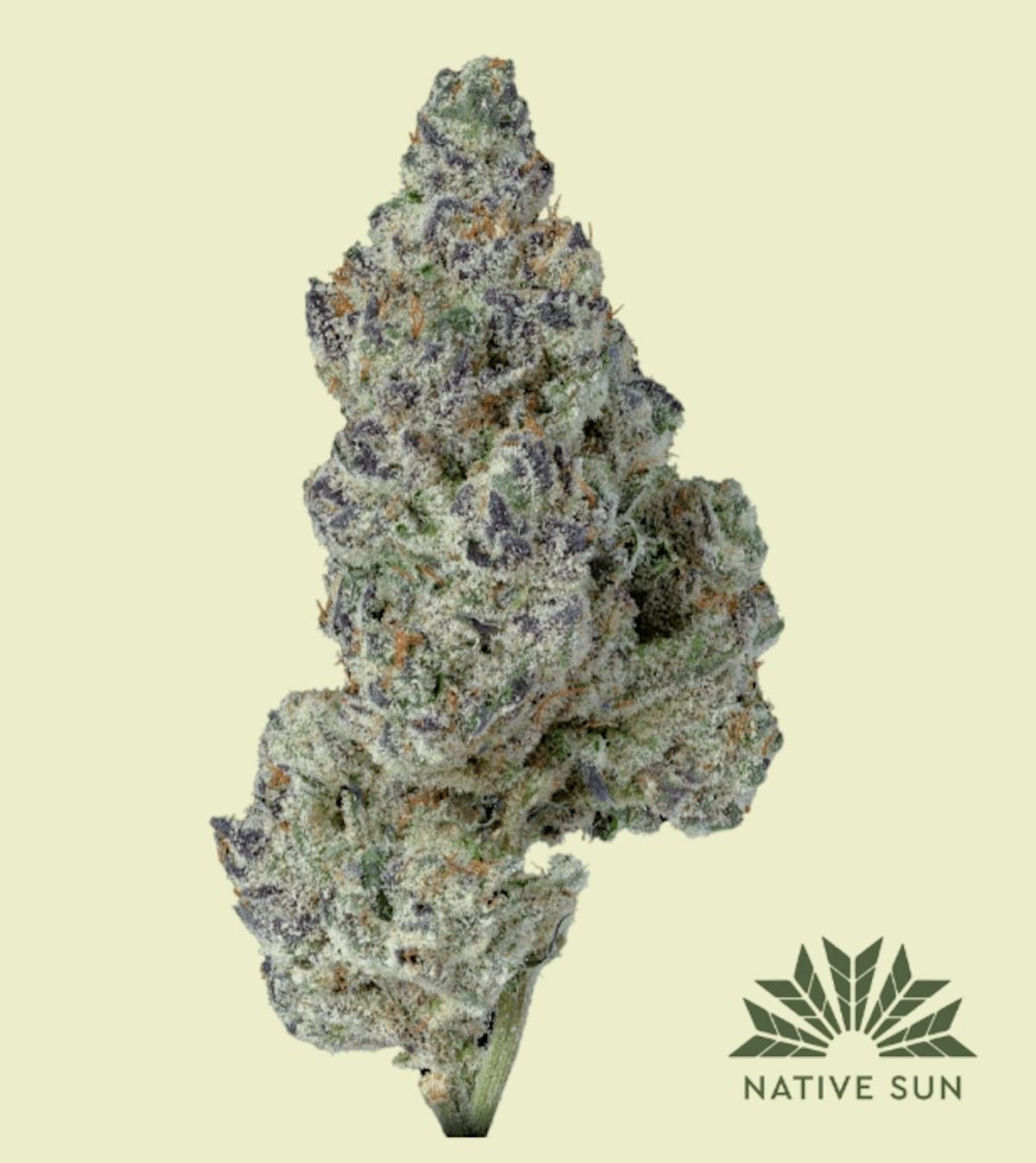 Photo of Southie Sunset 3.5g Flower Native Sun