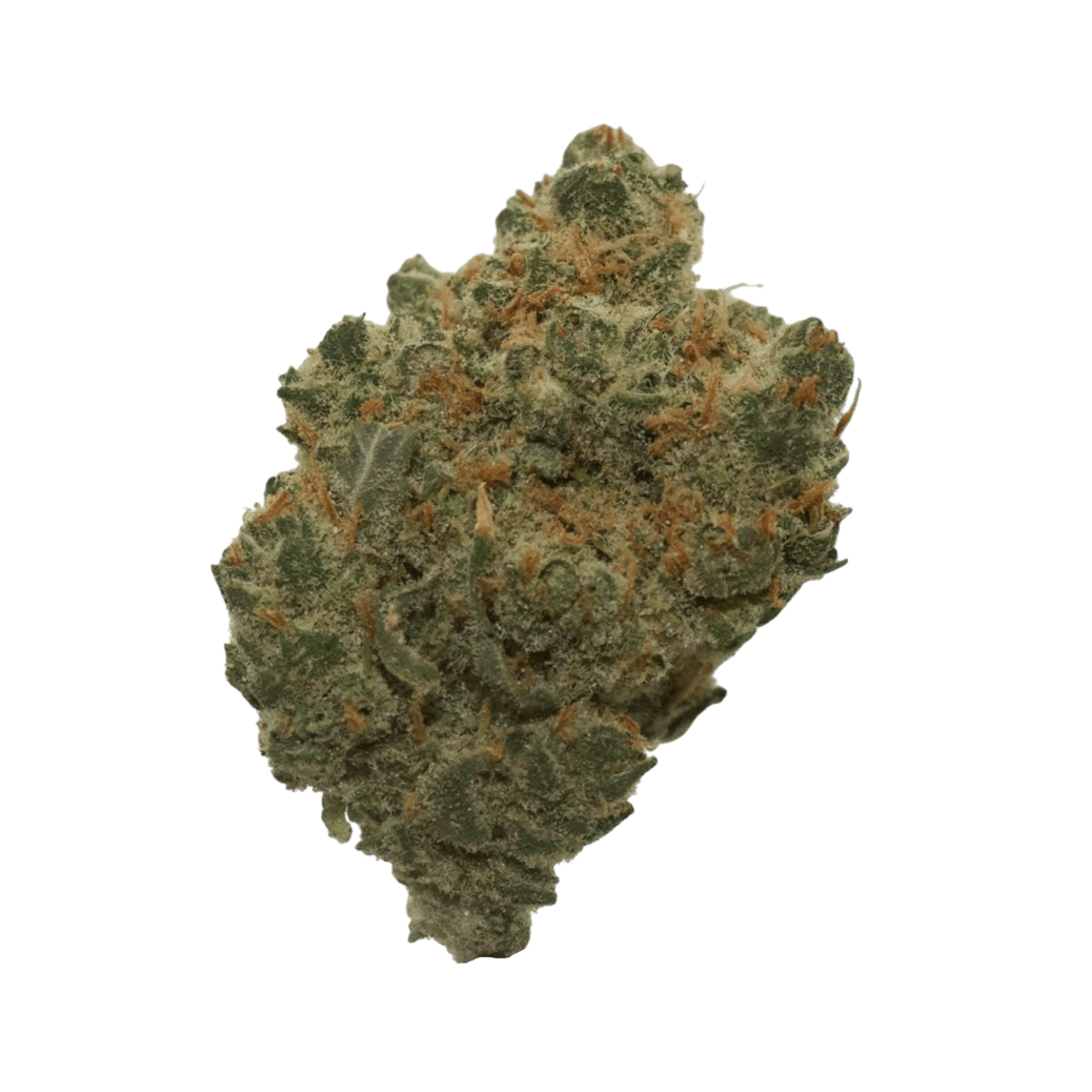 lycee way to the mile high 能見　クドリャフカ　クド MIDNIGHT MELON 2:1:1 CBD:THC:CBN GUMMIES 5PK - 100mg | Edibles