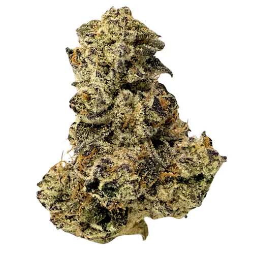 Krave | Bulk Flower | Gelato Cake-active