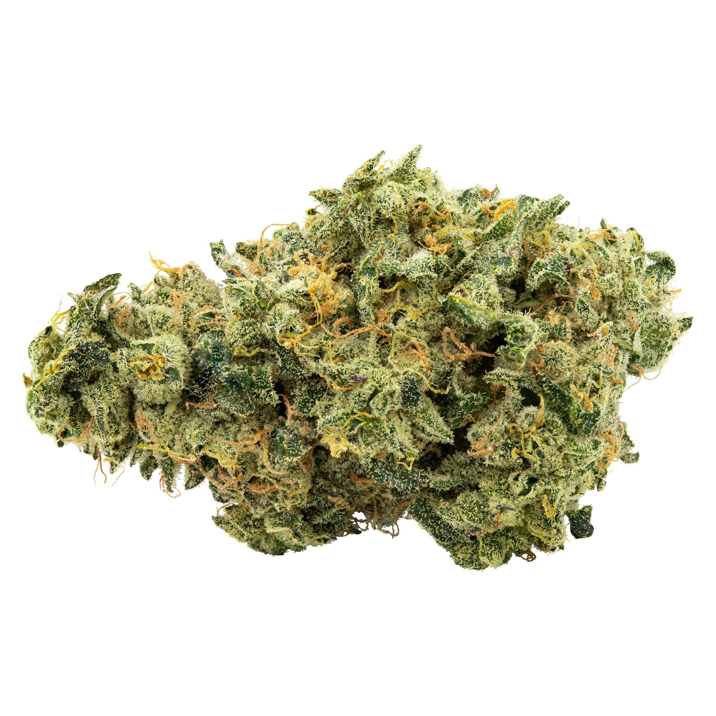Trailblazer - lemonade haze