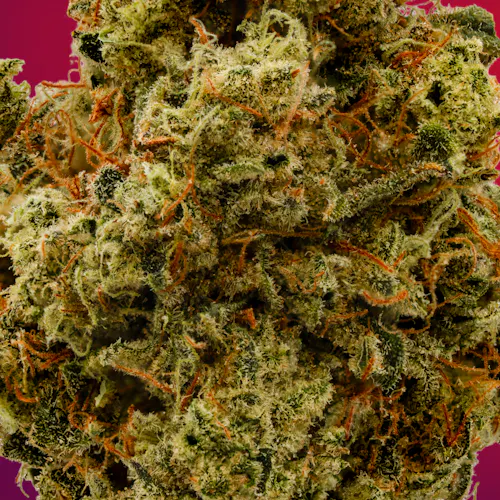 Deli Style | Mad Honey – Sativa – Hybrid-3