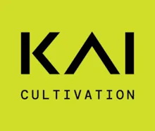 KAI - 1g THCa Infused Preroll - Peach Slushie