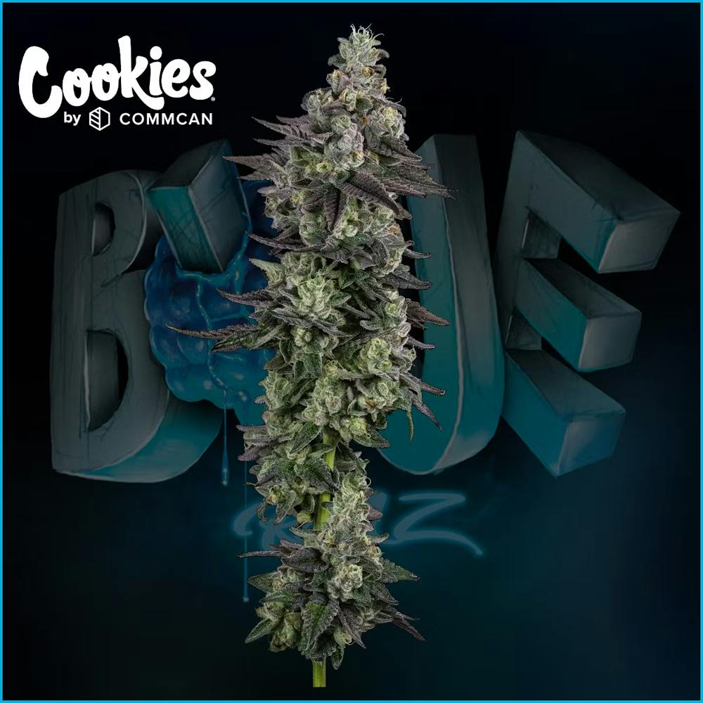 Product Blue Razz | Flower