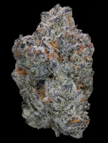 Test Kitchen | Z X Zikigai | 5G Smalls 5g Flower | Test Kitchen |