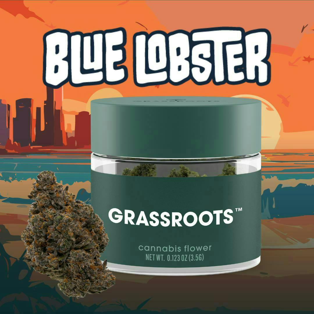 Grassroots Blue Lobster 3.5g Flower