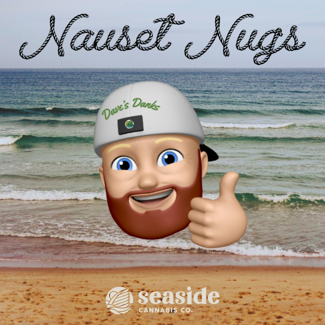 Shop Suncrafted | Chem De La Chem | Nauset Nugs Bulk in Orleans ...