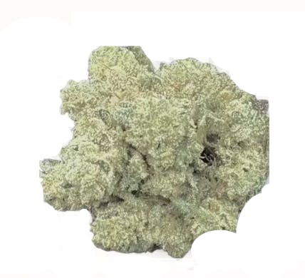 Product: Gorilla Glue | Panda