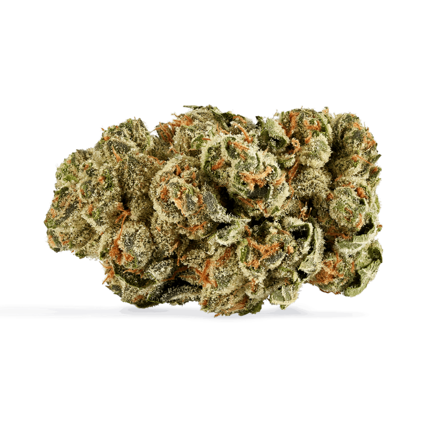 Kush cookies (gmo cookies x oz kush)