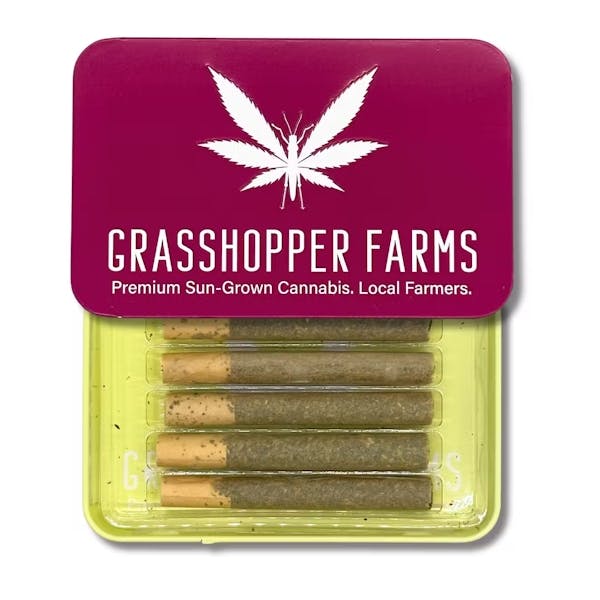 Product: Grasshopper | Resin GG3 5x1g Infused Pre-Roll Pack