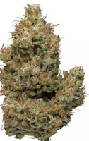 Product Super Sunshine Buds