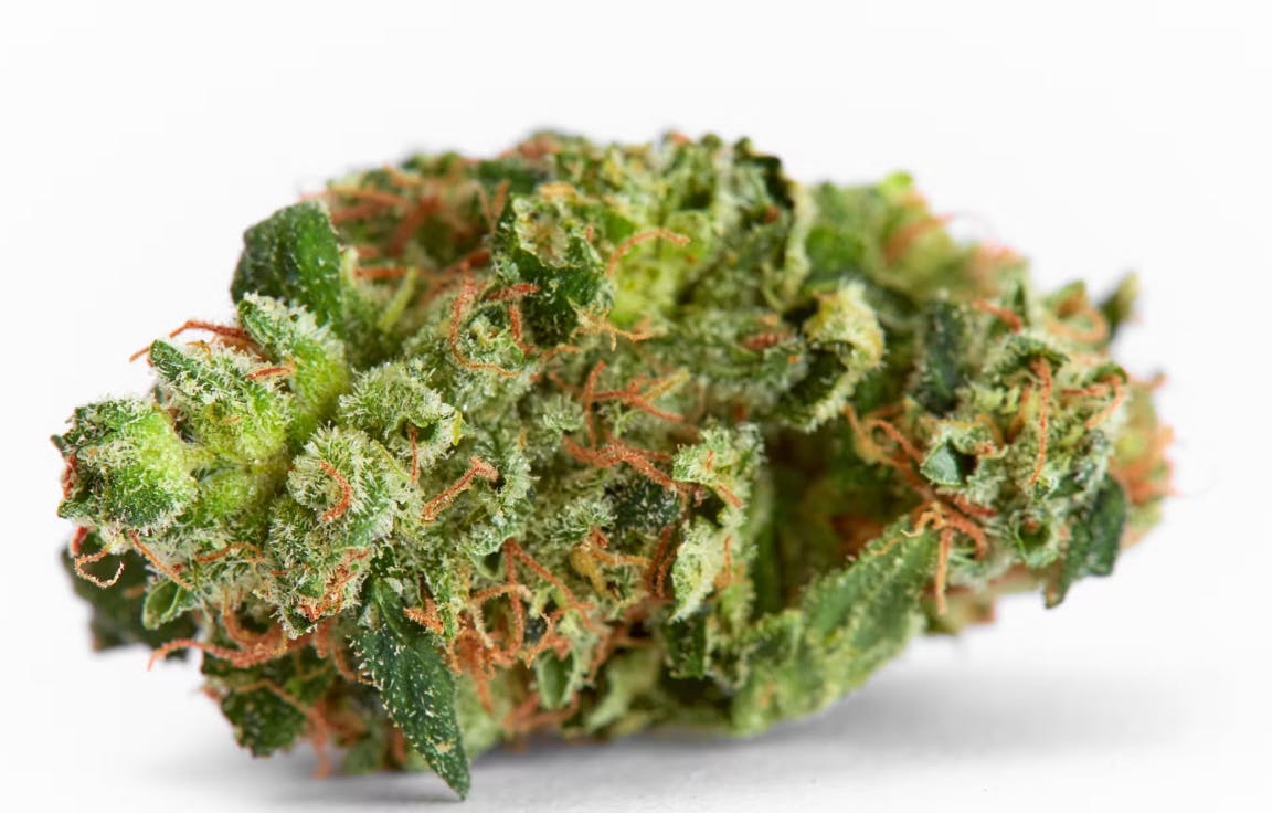 Flower | Platinum Reserve | Ghost Train Mimosa | 7g