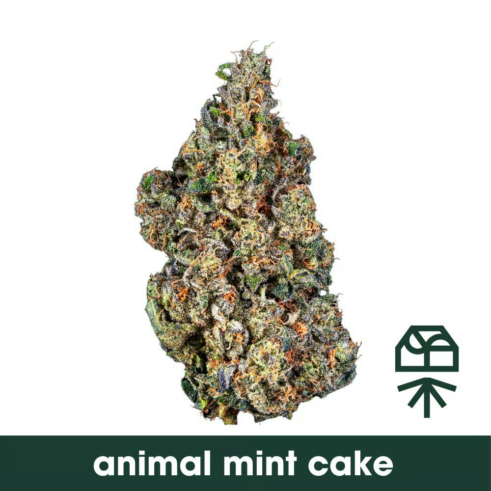 Grassroots Animal Mint Cake 3.5g Flower