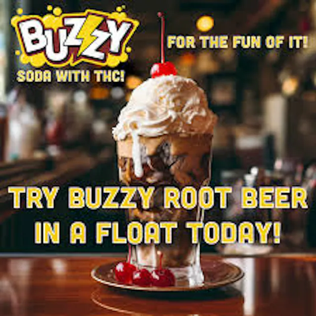 Root Beer | 5mg | Infused Soda | Buzzy - Image 2