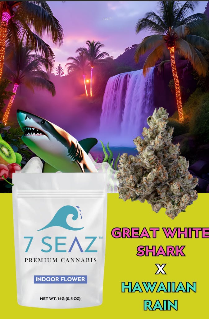 Great White Shark x Hawaiian Rain Flower | Hybrid | 7 Seaz