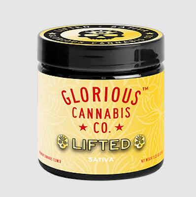 Product: Glorious Cannabis Co. | Feels Lifted | Ice Cream Cake x Lemon Tree | 3.5g