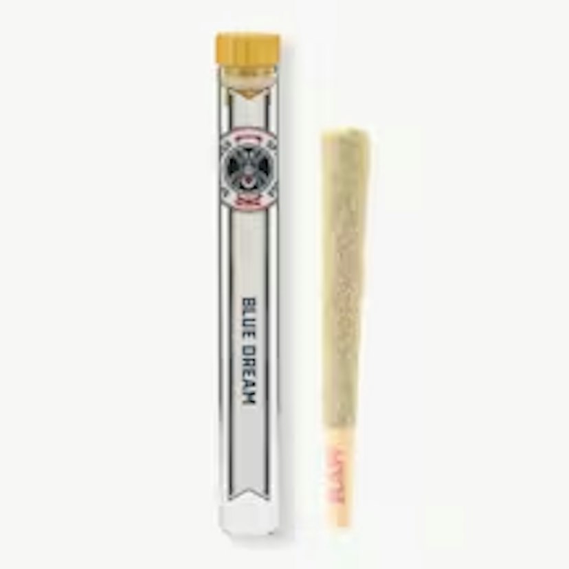 SPYDER LEGS TARANTULA PRE-ROLL | BLUE DREAM (SATIVA)