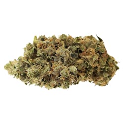 Flower | Pure Laine Cannabis - Big Pleasures Rotational Strain - Hybrid