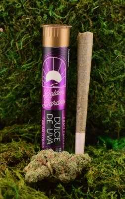 Golden Garden | Dulce De Uva | Pre-Roll | 1g