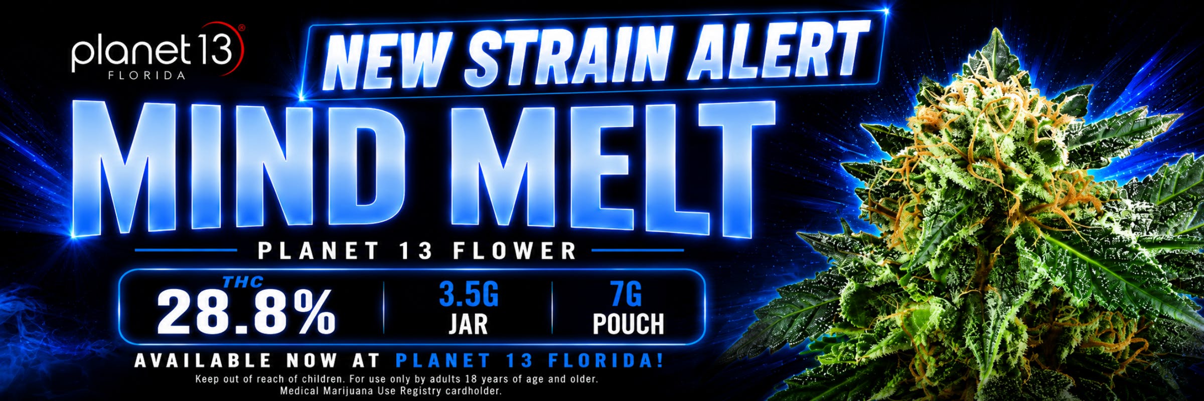 Planet 13 Florida New Strain Alert: Mind Melt Flower. THC 28.8%, 3.5G Jar, 7G Pouch. Available now at Planet 13 Florida!