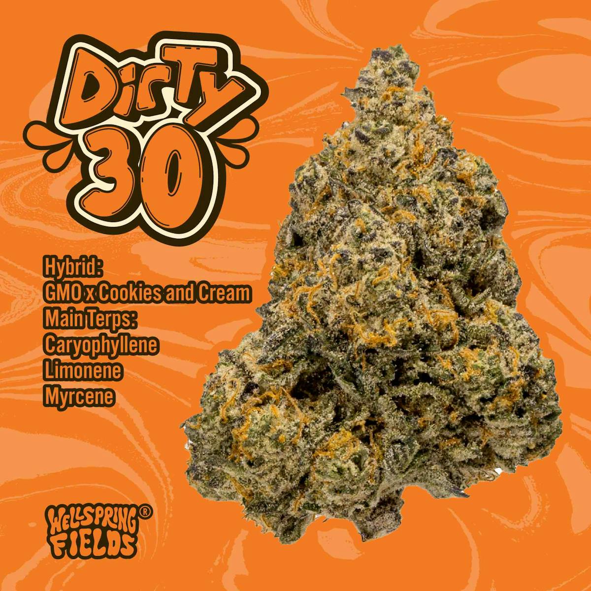 Photo of Dirty 30