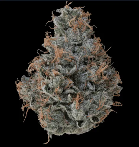 Orange 43 | Smalls | 14.15g-1