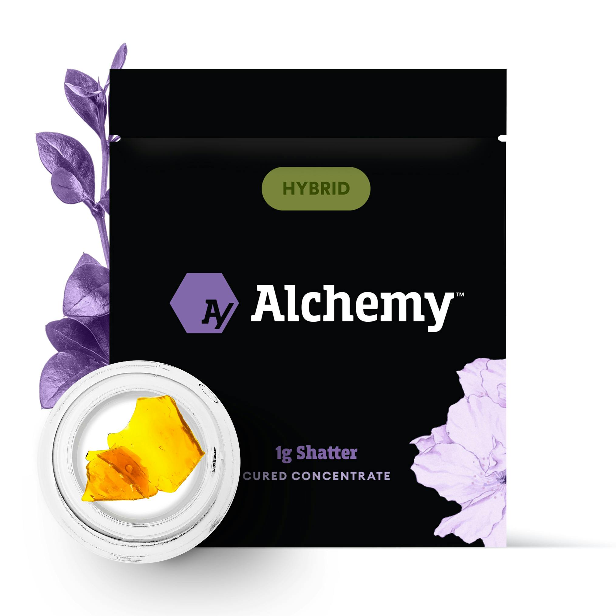 ALCHEMY FLORIDA JACK SHATTER | Earth's Healing - Benson