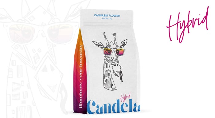 Product: Candela | Pre-Pack Flower - 3.5g - Stankonya