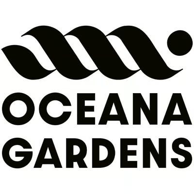 Oceana Gardens - 1g Infused Preroll - Big Foot Glue