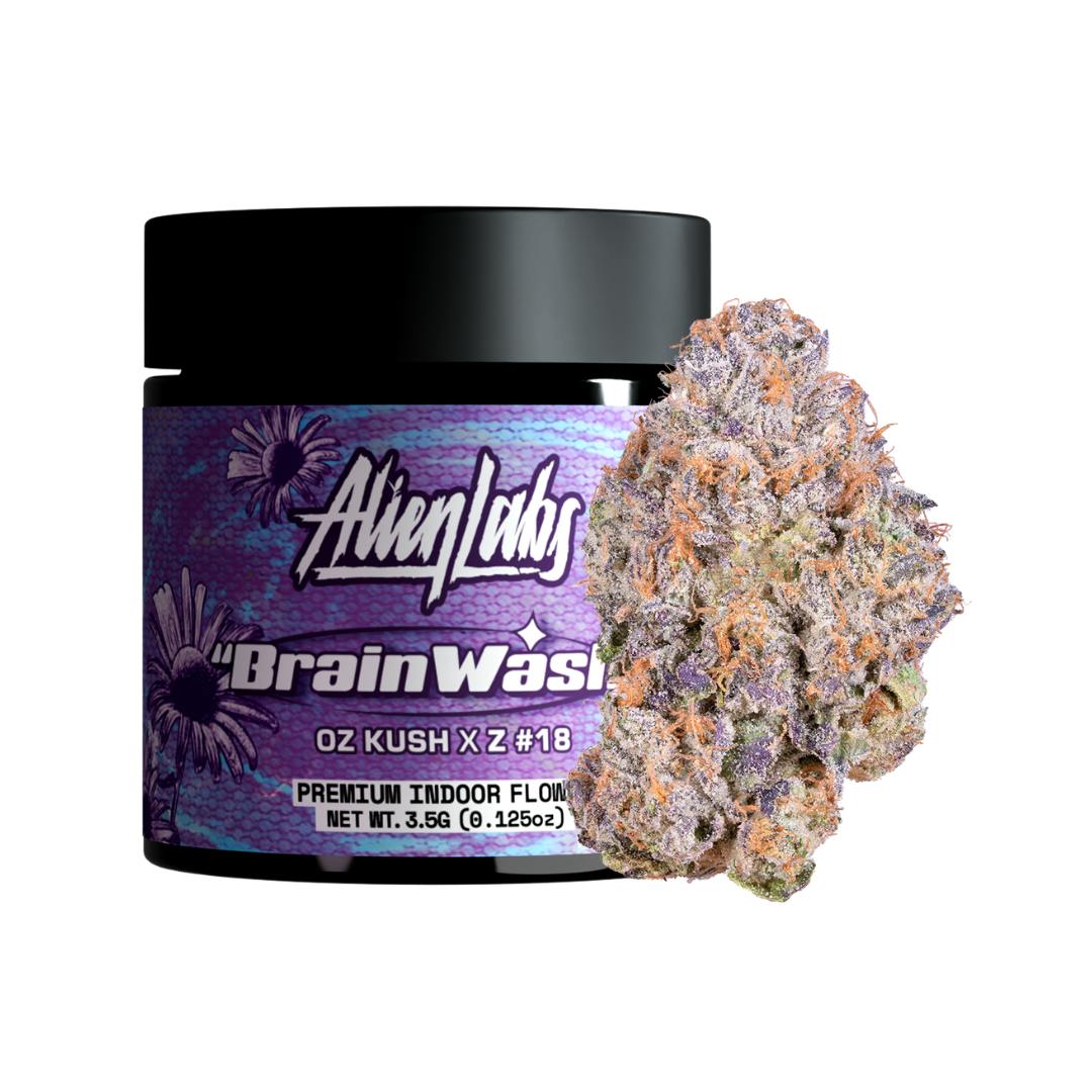 Brain Wash - 3.5G