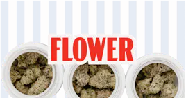 Flower category image