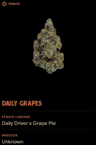 Daily Grapes Flower 14g