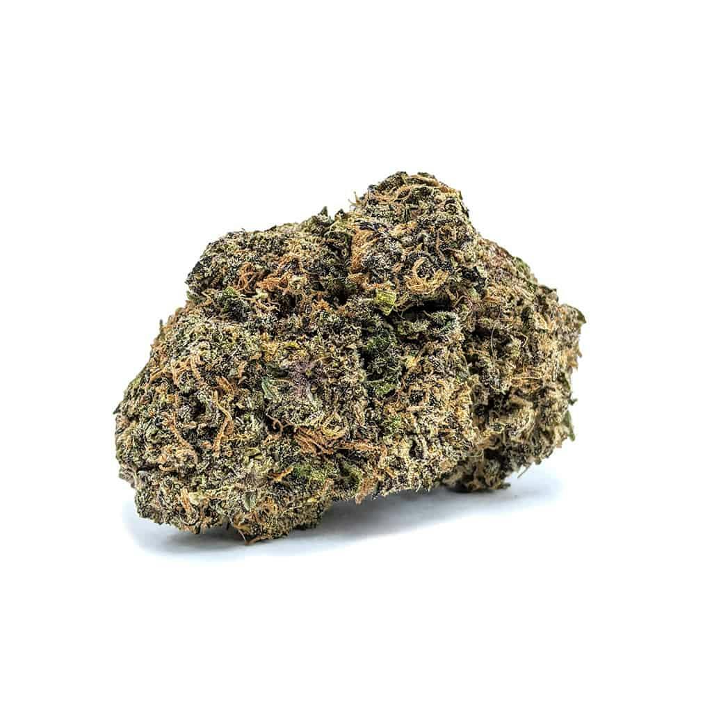 image of Grape Gas House Flower