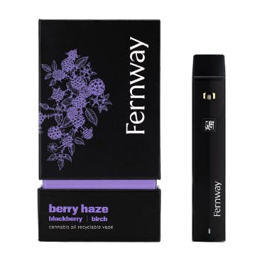 Disposable [1g] I Berry Haze