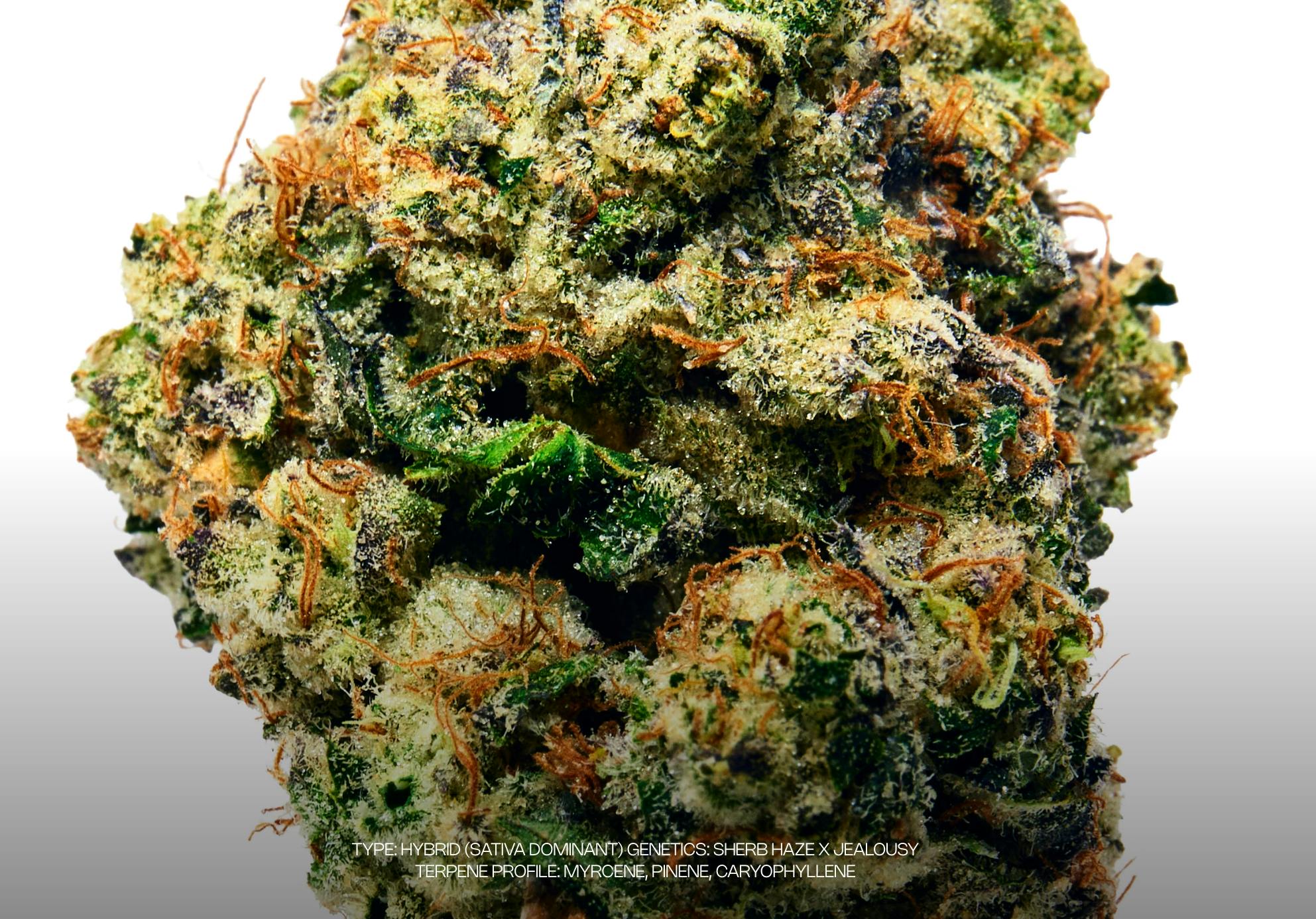 Sour Headband | Flower | 3.5g by Dada Exotics | Buy Online
