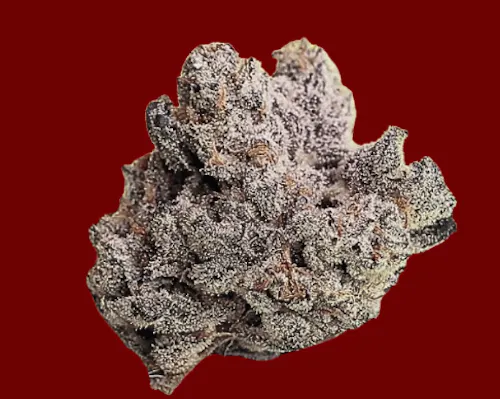 High Ambitions | Dantes Inferno | Sativa Hybrid | Flower | 3.5g-1