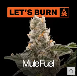 Lets Mule Fuel